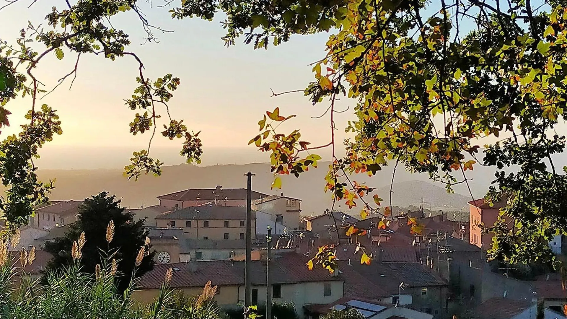 Loft Collina Vista Mare Apartment Castellina Marittima Italy